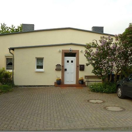 Pension Rosenvilla Sedlitz Bagian luar foto