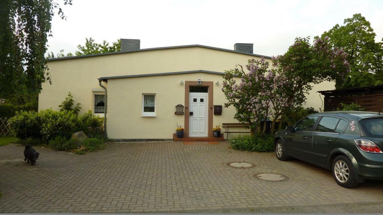Pension Rosenvilla Sedlitz Bagian luar foto